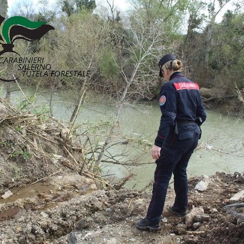 Azienda bufalina sequestrata ad Eboli <br />&copy; Carabinieri Salerno