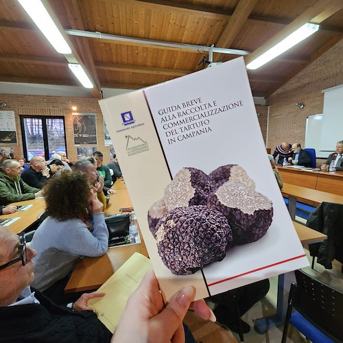 Tartufo in Campania: presentato l’innovativo software per la gestione del comparto dei funghi e dei tartufi