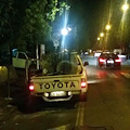 Stasera la disinfestazione insetti volanti