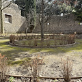 Un nuovo tassello verde nel parco archeologico di Pompei: aperta la "Casa dell'Orto Botanico"