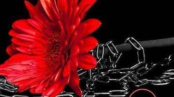 Cava de' Tirreni, oggi si presenta il libro “Il fiocco rosso” di Annamaria Santoriello