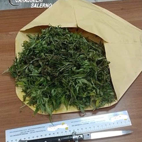 Accoltella il padre e fugge, 40enne arrestata a Nocera Superiore: in casa nascondeva 190 grammi di marijuana