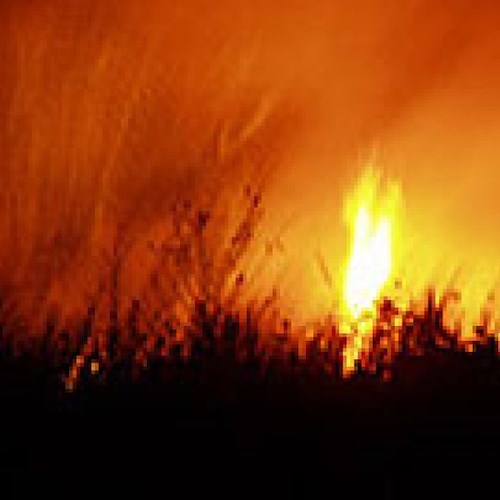 Antincendio boschivo, il sindaco si mobilita contro la "privatizzazione"