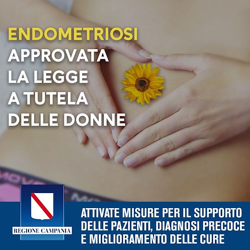 Campania, endometriosi: approvata legge a tutela della donne 