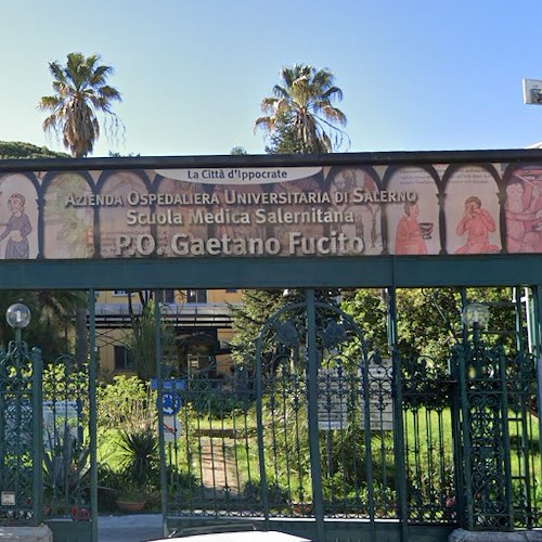 Ospedale di Mercato San Severino <br />&copy; Google Maps