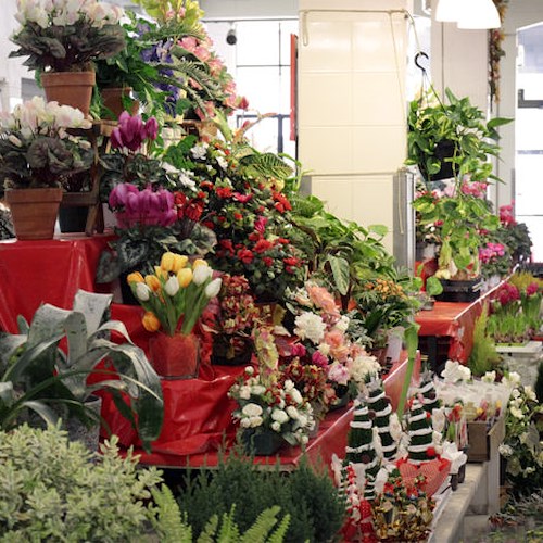 Cava d'e Tirreni: ordinanza regolamenta vendita di piante e fiori 