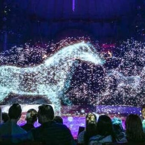 Cava de' Tirreni, arriva il circo con animali virtuali