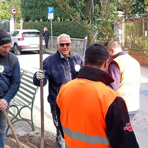 Cava de' Tirreni, in corso la piantumazione di 105 nuovi alberi
