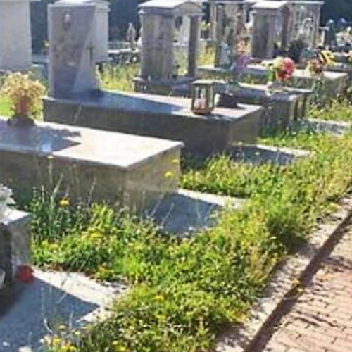 Cava de’ Tirreni, Petrone: «Cimitero in stato di abbandono! Tutta la città è nell'incuria più totale»