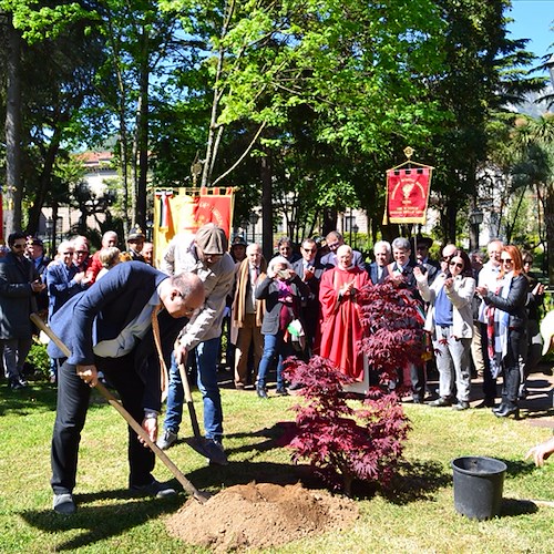 Cava de’ Tirreni: si amplia il Giardino della Resistenza, piantati due alberi in ricordo dei partigiani 