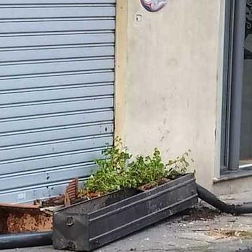 Cava de' Tirreni, vandali in azione nella notte: fioriere distrutte in via Francesco Alfieri