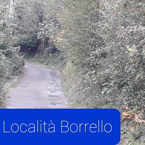 Cava de' Tirreni, vegetazione invade località Borrello e Maria Al Toro: "La Fratellanza" sollecita interventi 