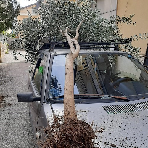 Cava, volontari al lavoro per risanare i giardinetti Gramsci [FOTO e VIDEO]