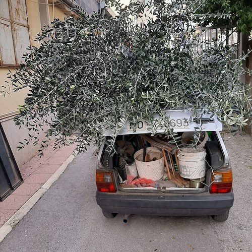 Cava, volontari al lavoro per risanare i giardinetti Gramsci [FOTO e VIDEO]