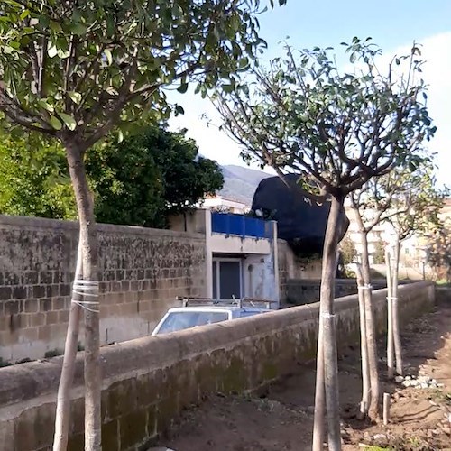 Cava, volontari al lavoro per risanare i giardinetti Gramsci [FOTO e VIDEO]
