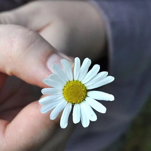 Chi alza le mani o fa la voce grossa ha pochi argomenti per discutere e confrontarsi