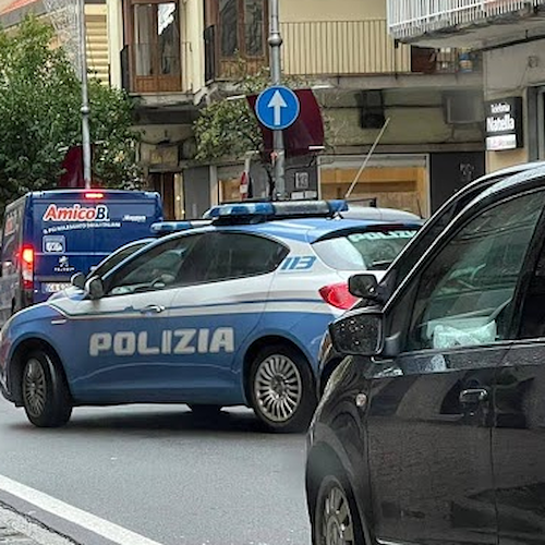 Choc a Salerno, cuccioli di cane precipitano dal balcone: si indaga