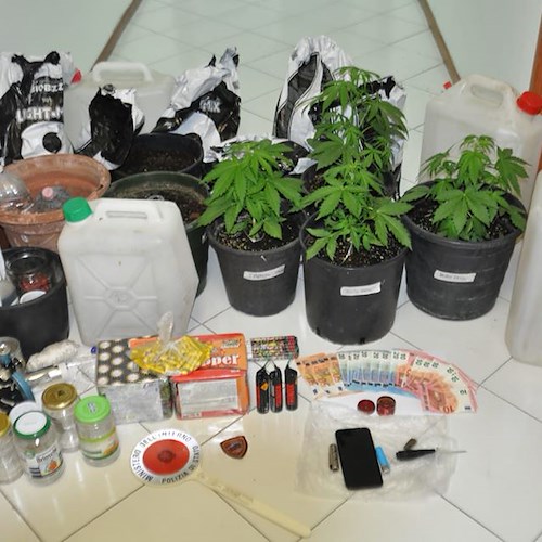 Coltiva marijuana in villa disabitata: arrestato giovane cavese 