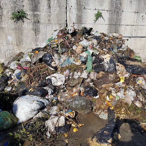 Conferimento rifiuti a Cava, assessore Senatore: «Sempre maggiori impurità nell’umido»