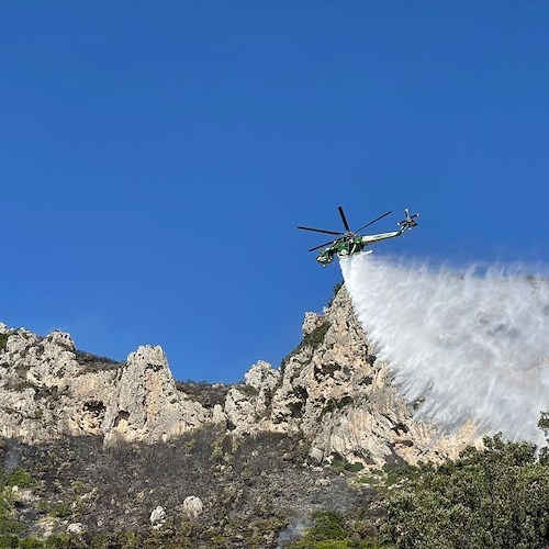 Contrasto incendi boschivi: in Campania stanziati oltre 19mila euro, formati 1900 nuovi addetti al servizio