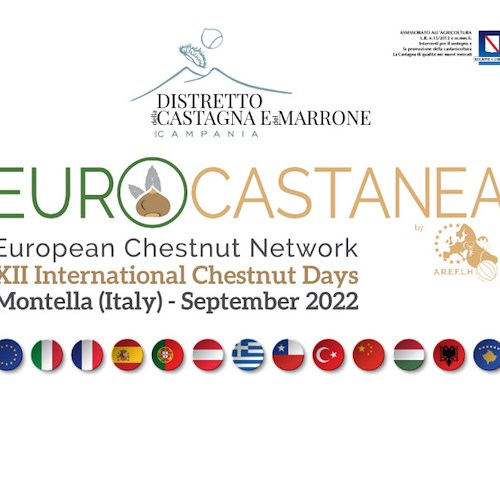 Da dodici Paesi alla Campania per gli "European chestnut days": dal 12 settembre a Montella l’evento internazionale “Eurocastanea Italia”
