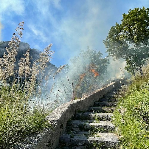 Da gennaio oltre 200 incendi boschivi in Campania, Protezione Civile impegnata su prevenzione e lotta attiva