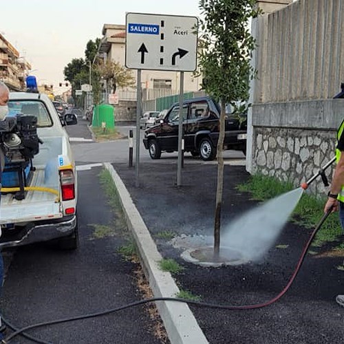 Emergenza siccità, a Cava de' Tirreni la Protezione Civile in campo per la manutenzione del verde pubblico