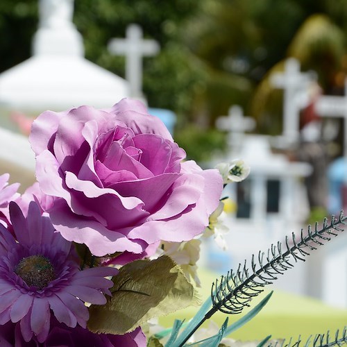 Fiori rubati dalle tombe, ladri in azione al cimitero di Cava de' Tirreni 