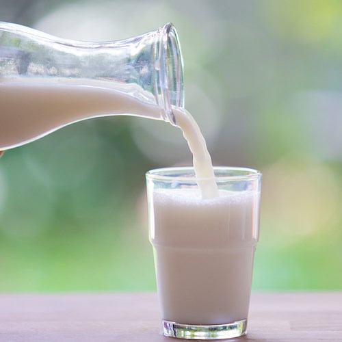 Il latte è veramente l'alimento più adatto a prevenire l’osteoporosi?