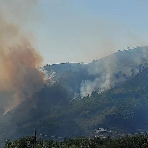 Incendio a Citola, boschi distrutti e animali uccisi. Anpana Cava de' Tirreni: «Chi ha visto fornisca informazioni»