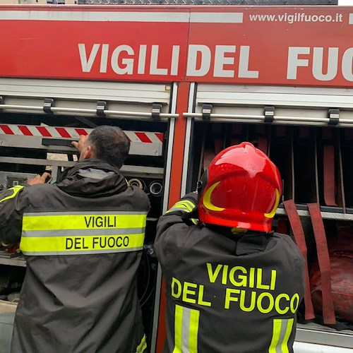 Incendio in un allevamento a Nocera, morti carbonizzati 13 cani. Si indaga 
