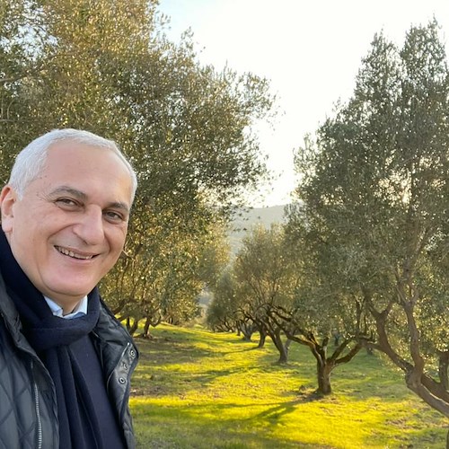L'Olio Extravergine d'Oliva della Campania ottiene riconoscimento IGP