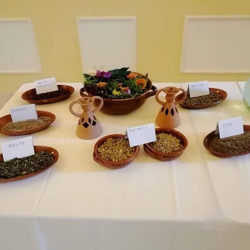 La Badia di Cava, tra antiche ricette benedettine e piante officinali: grande successo per il primo appuntamento /FOTO