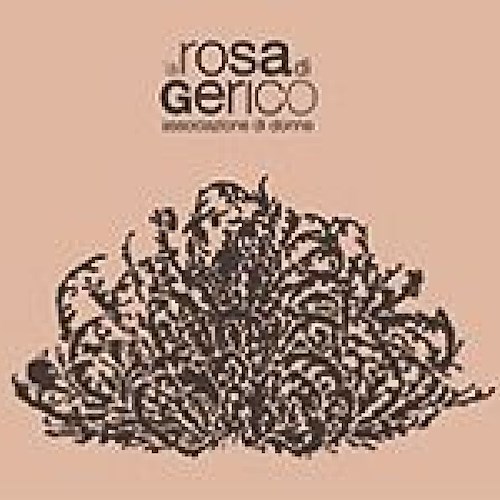 "La Rosa di Gerico", solidarietà a Filomena Gallo