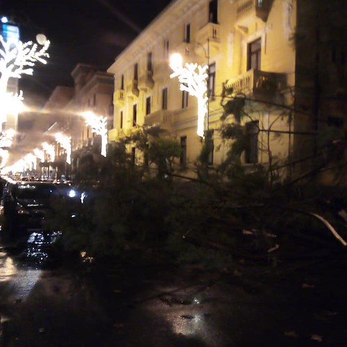 Maltempo, tragedia sfiorata a Salerno: albero si abbatte su via Roma [VIDEO]