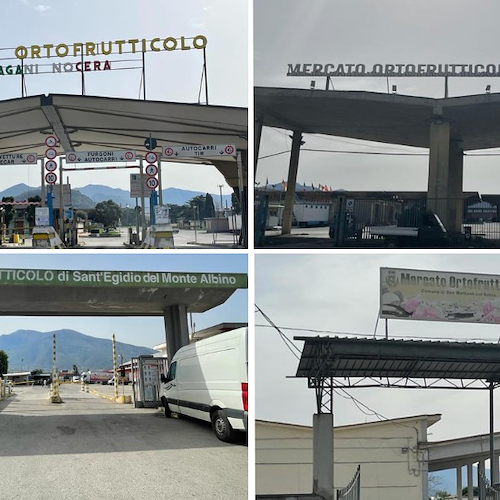 «Mercati Ortofrutticoli in condizioni drammatiche, urge ristrutturazione», Carpentieri scrive a De Luca e Carfagna