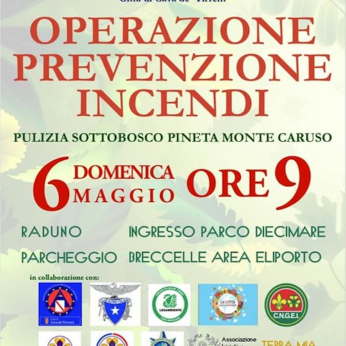 "Operazione prevenzione incendi", 6 maggio iniziativa per pulire il sottobosco di Pineta Monte Caruso