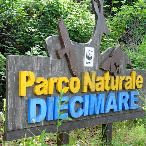 Parco di Diecimare, le origini dell'oasi naturalistica di Cava de' Tirreni