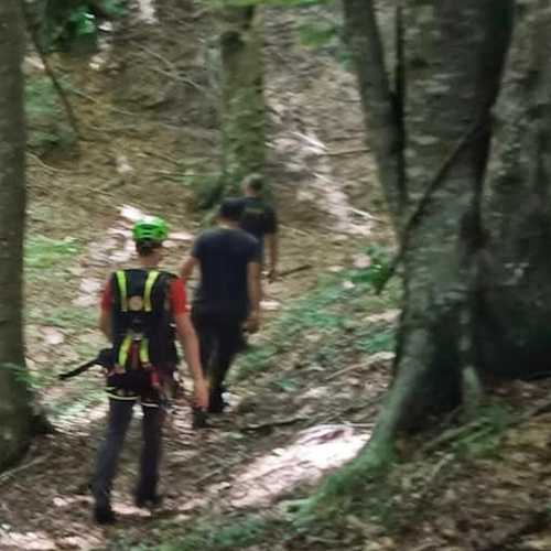 Perde l'orientamento e non riesce a tornare all'auto, fungaiolo salvato tra Eboli e Campagna 