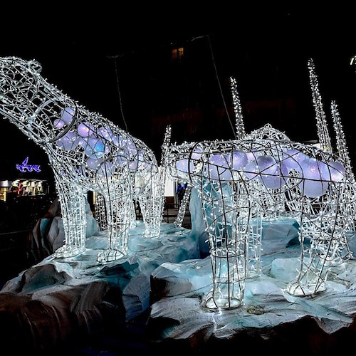 Salerno illumina il Natale con le incantevoli 'Luci d'Artista' celebrando la natura<br />&copy; Massimo Pica