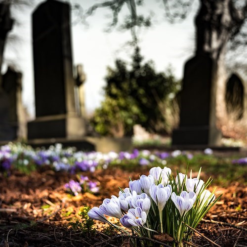 Si allontana dai genitori nell'Avellinese, bimbo pedala per 35 chilometri per portare fiore sulla tomba della bisnonna 