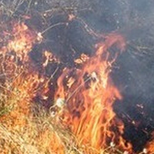 Sterpaglie in fiamme a Cava de' Tirreni: è polemica 