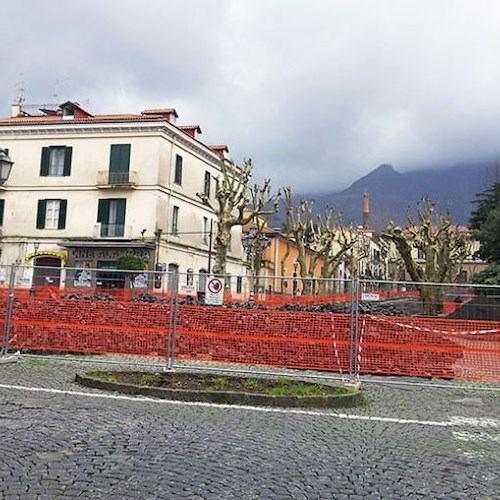 Taglio dei platani in Piazza Abbro, polemica "sempreverde"