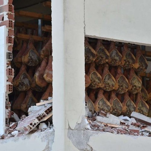 Terremoto: in ginocchio l'industria del prosciutto di Norcia. Acquistarlo è un aiuto concreto 