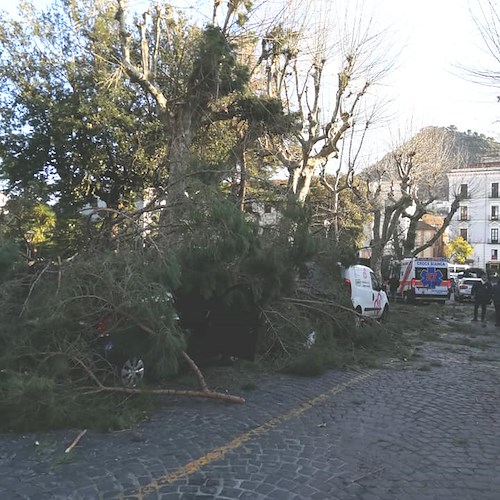 Tragedia a Cava de' Tirreni: muore schiacciato da albero abbattuto dal vento