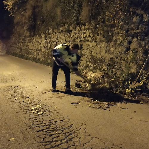Vento forte a Cava de' Tirreni: rami si abbattono sulla strada a Castagneto 