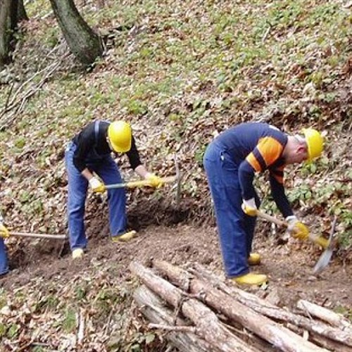 Vertenza Forestazione: da Regione Campania 20 milioni a Comunità Montane